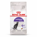 Royal Canin Gato Castrado 1,5Kg