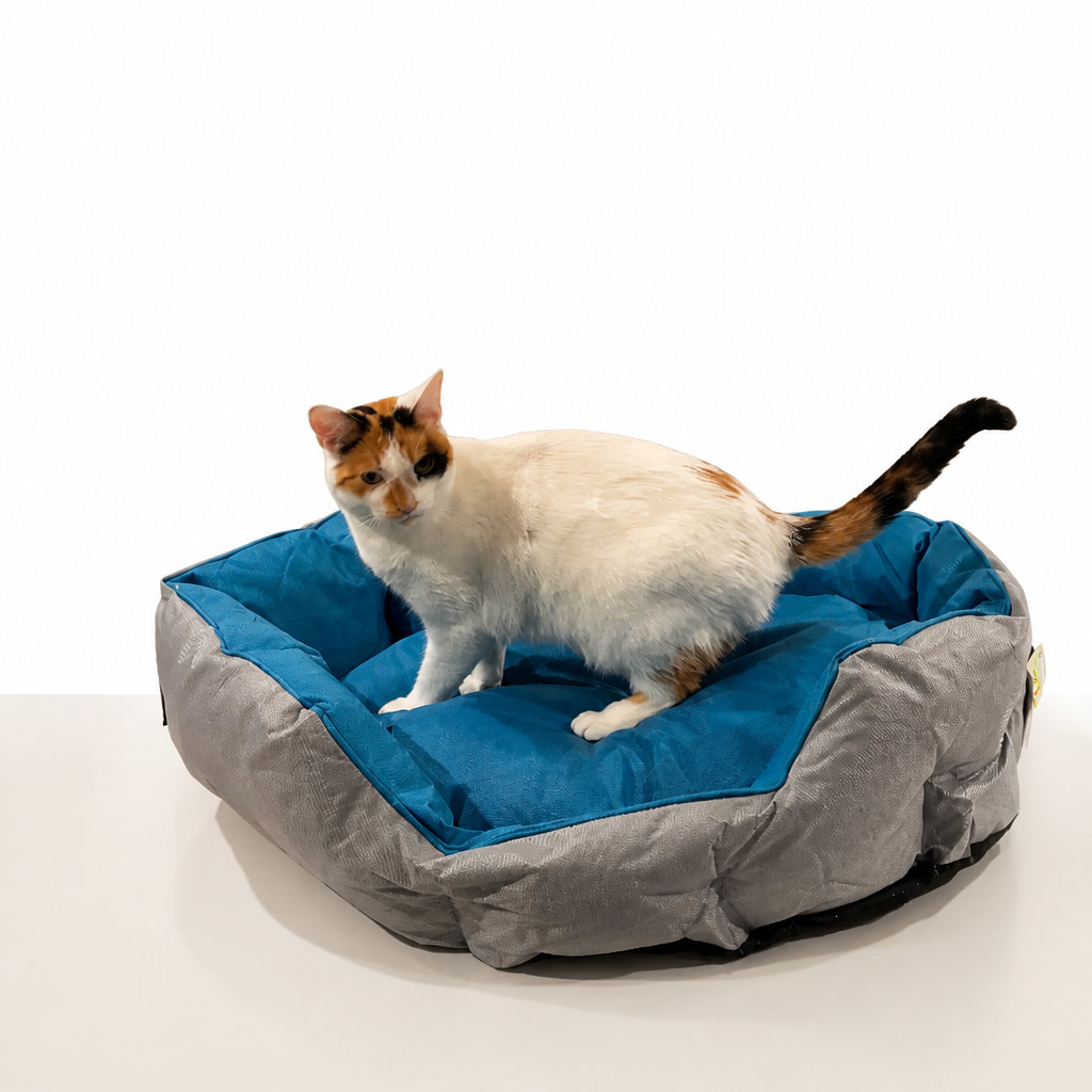 Cama Outdoor impermeable para gatito perrito.
