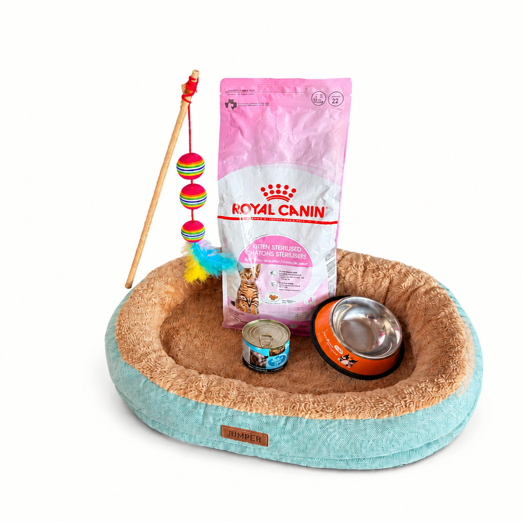 Pack Premiun Gatito BB Royal Canin 1,5Kg + Lata Leonardo 200gr + plato acero inoxidable + varilla interactiva + cama acolchada antiestrés